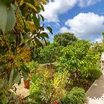 Art Gateway Apartman Dubrovnik